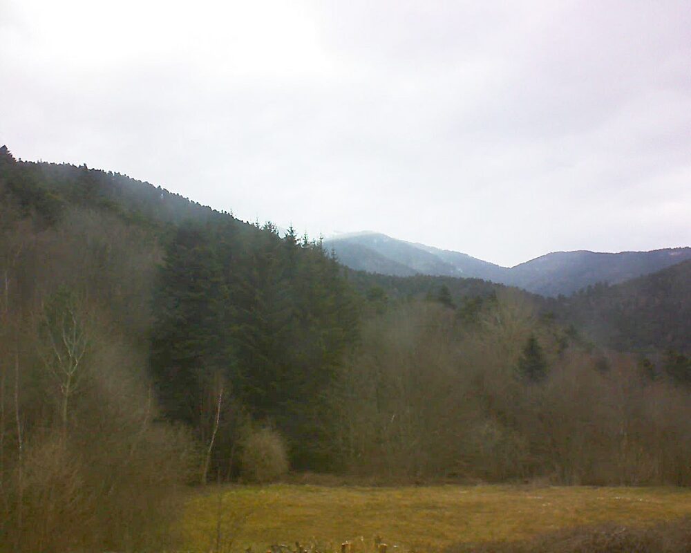 Le petit ballon (Alsace, Vosges) le 28.02.2025 à 10:30