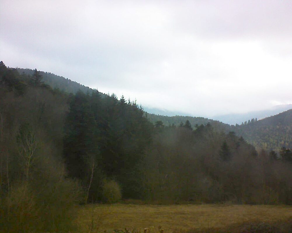 Le petit ballon (Alsace, Vosges) le 01.03.2025 à 08:30