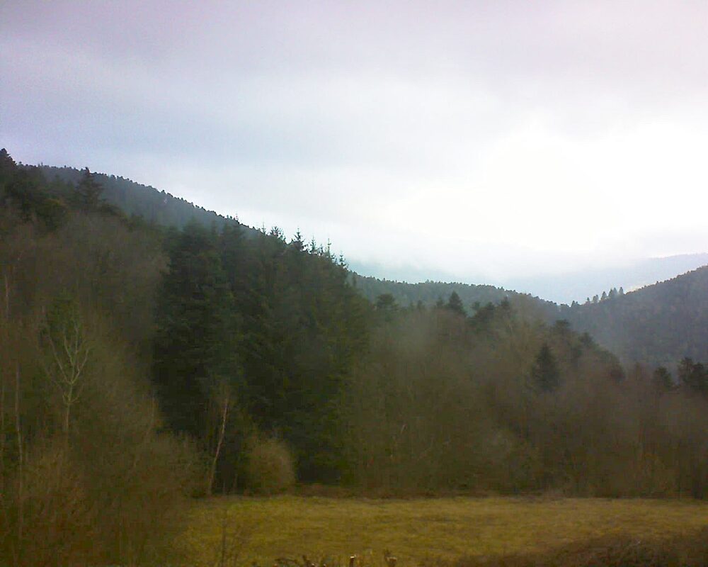 Le petit ballon (Alsace, Vosges) le 01.03.2025 à 08:45