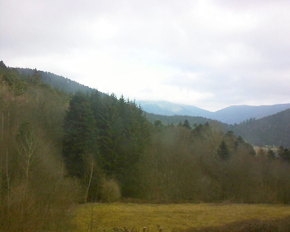 Le petit ballon vu depuis le Domaine Langmatt à Murbach le 02.03.2025 à 09:30 Le petit ballon (Alsace, Vosges) le 02.03.2025 à 09:30