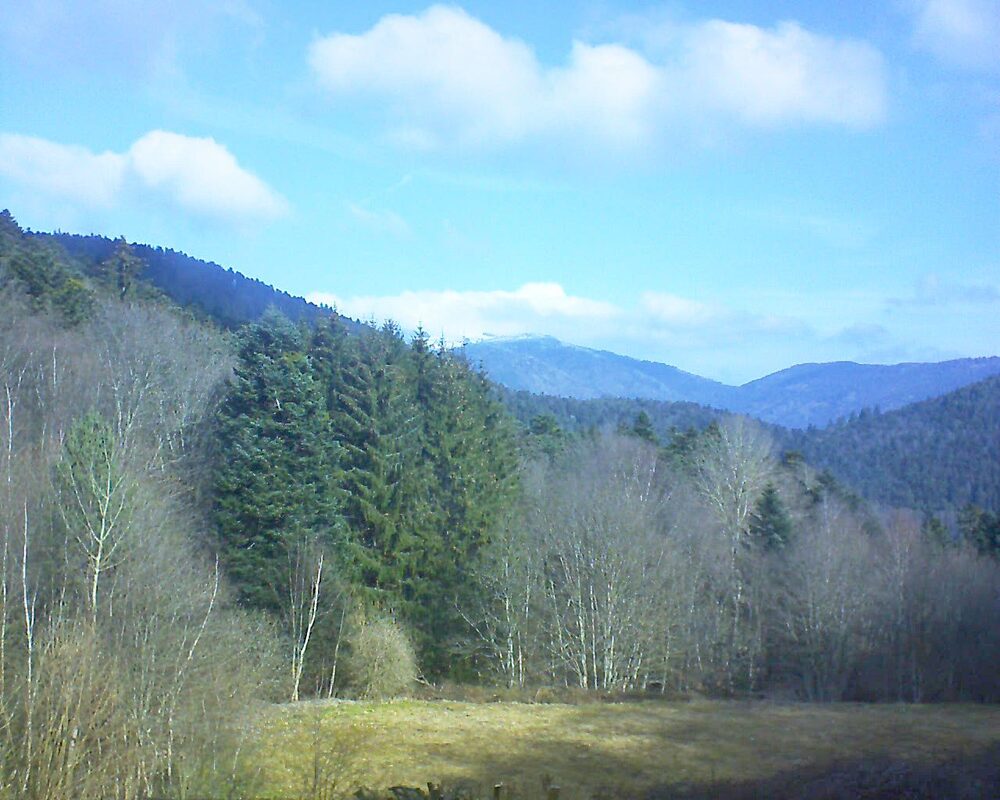 Le petit ballon (Alsace, Vosges) le 02.03.2025 à 10:30