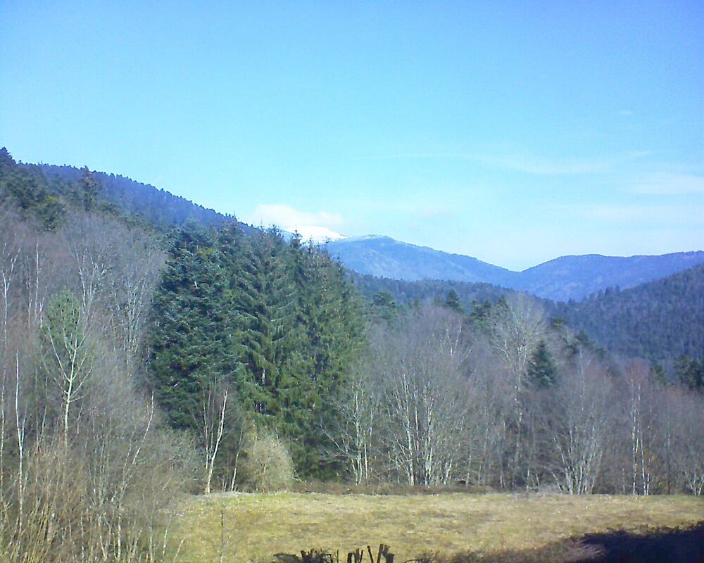 Le petit ballon (Alsace, Vosges) le 02.03.2025 à 11:15