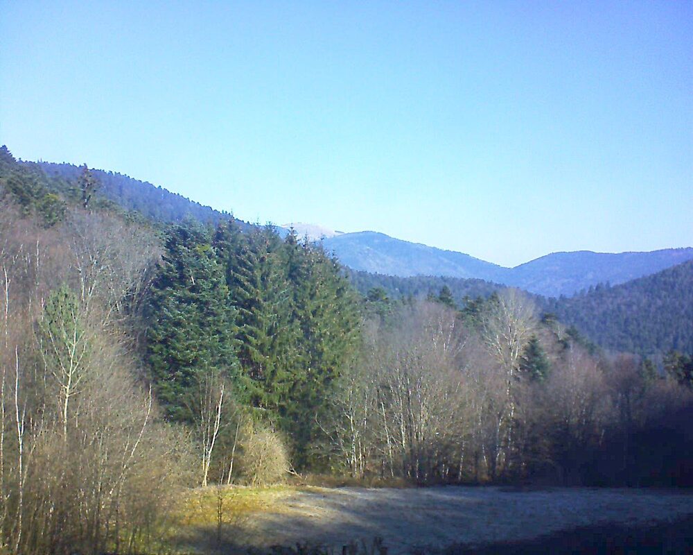 Le petit ballon vu depuis le Domaine Langmatt à Murbach le 03.03.2025 à 10:15 Le petit ballon (Alsace, Vosges) le 03.03.2025 à 10:15