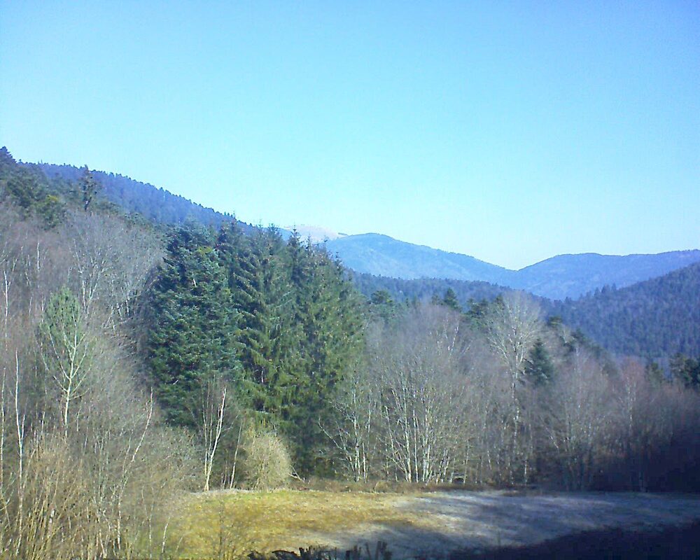 Le petit ballon (Alsace, Vosges) le 03.03.2025 à 10:30
