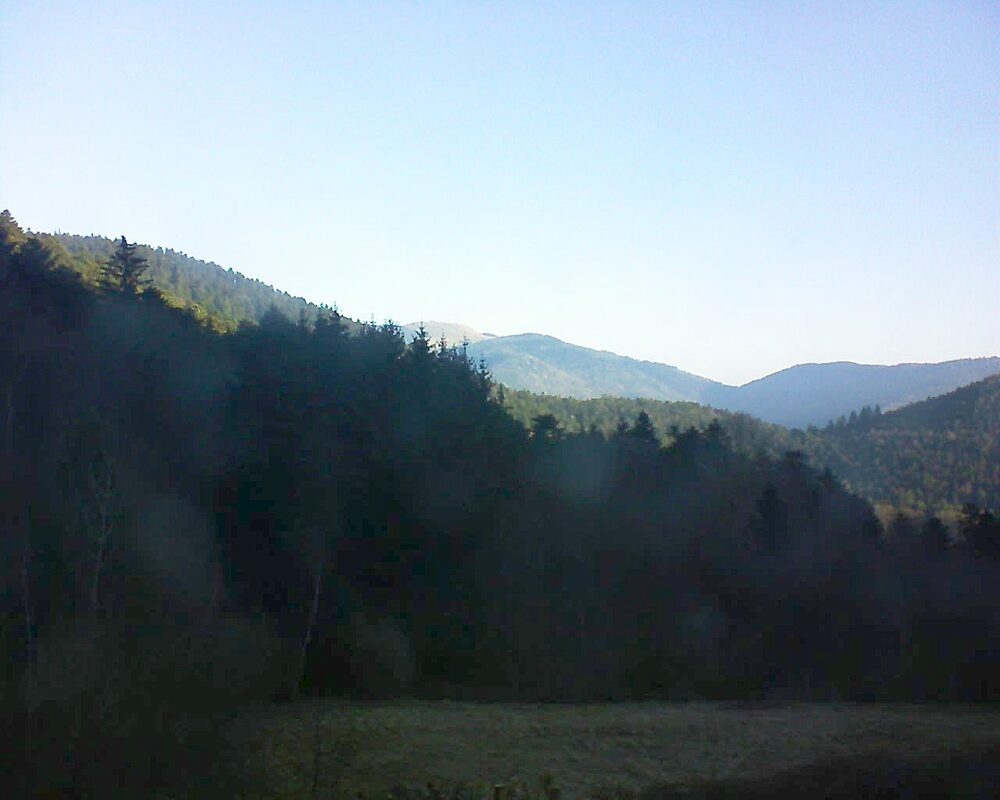 Le petit ballon (Alsace, Vosges) le 05.03.2025 à 08:15