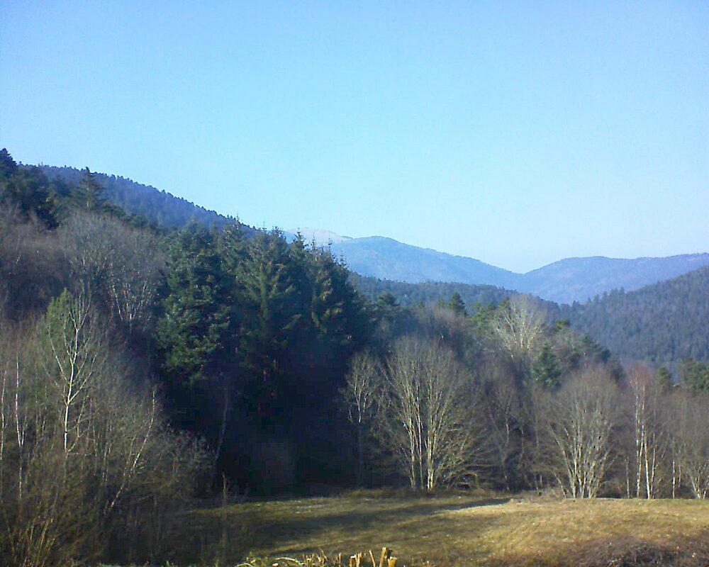 Le petit ballon (Alsace, Vosges) le 05.03.2025 à 15:45
