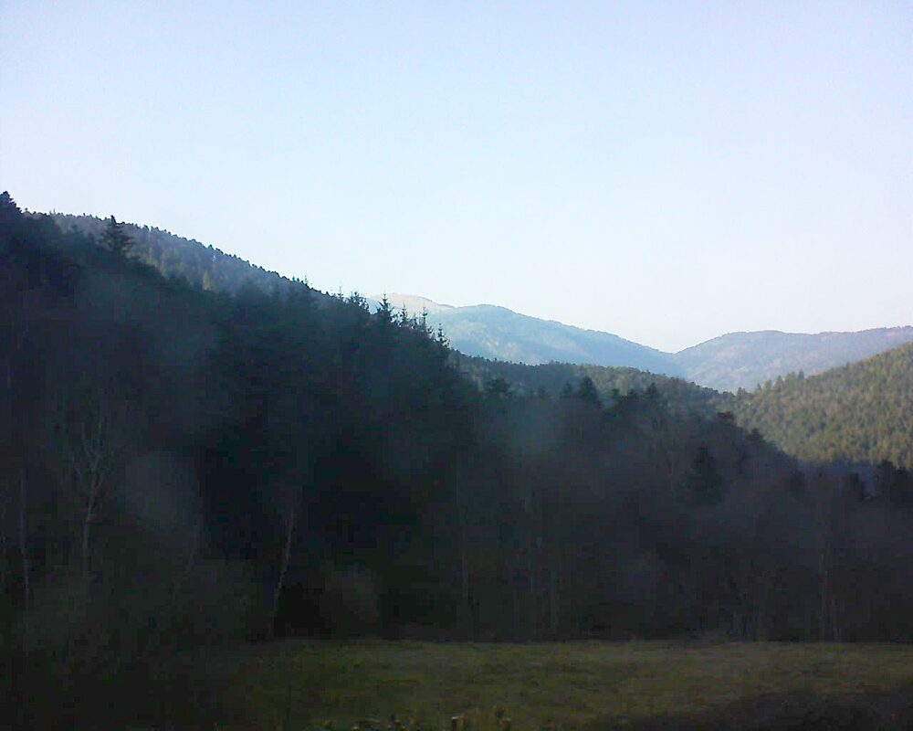 Le petit ballon (Alsace, Vosges) le 05.03.2025 à 16:45