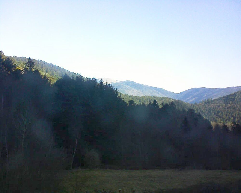 Le petit ballon (Alsace, Vosges) le 06.03.2025 à 09:00