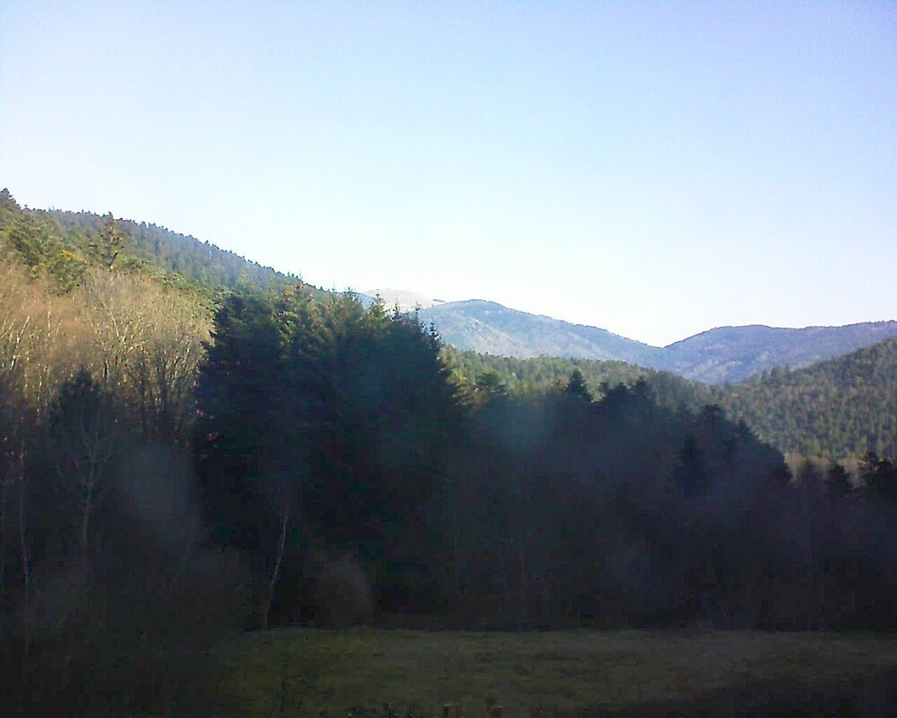 Le petit ballon vu depuis le Domaine Langmatt à Murbach le 06.03.2025 à 09:30 Le petit ballon (Alsace, Vosges) le 06.03.2025 à 09:30