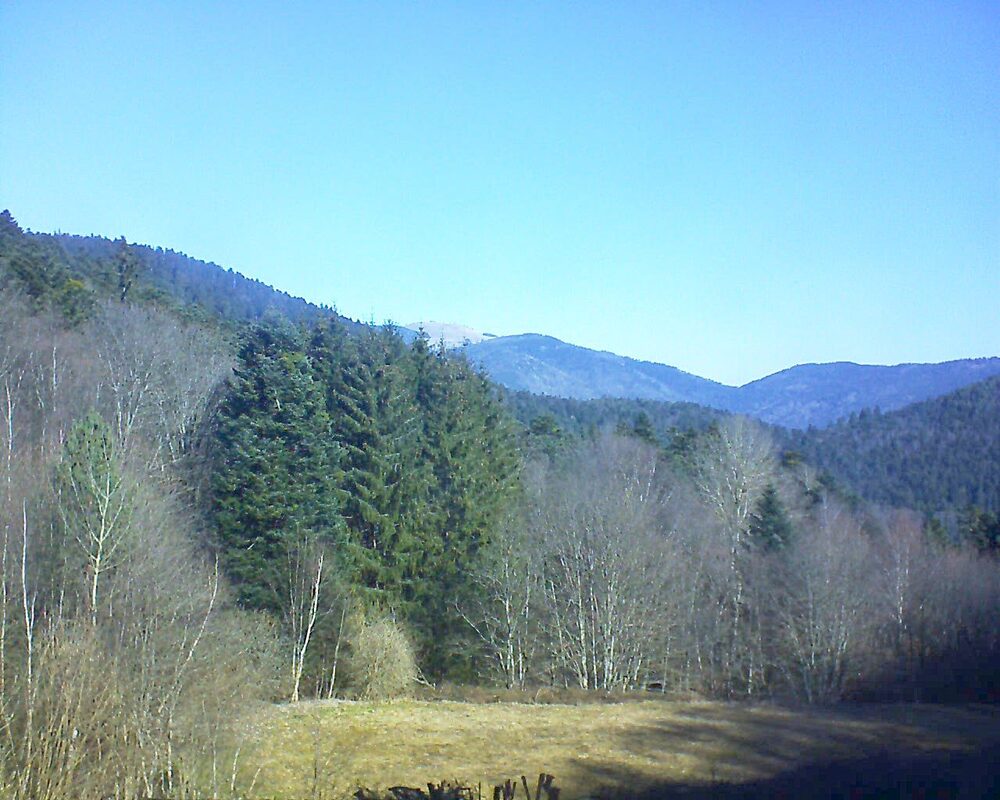 Le petit ballon vu depuis le Domaine Langmatt à Murbach le 06.03.2025 à 10:30 Le petit ballon (Alsace, Vosges) le 06.03.2025 à 10:30