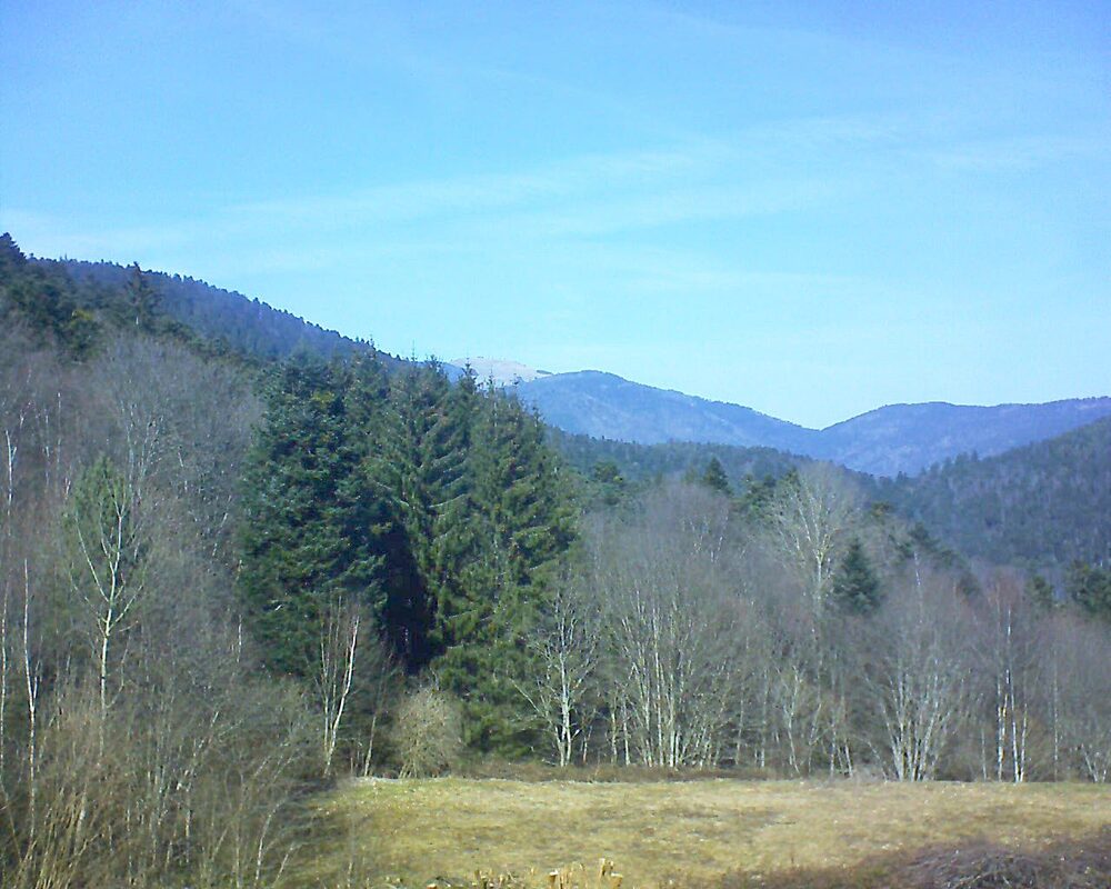 Le petit ballon vu depuis le Domaine Langmatt à Murbach le 06.03.2025 à 13:15 Le petit ballon (Alsace, Vosges) le 06.03.2025 à 13:15