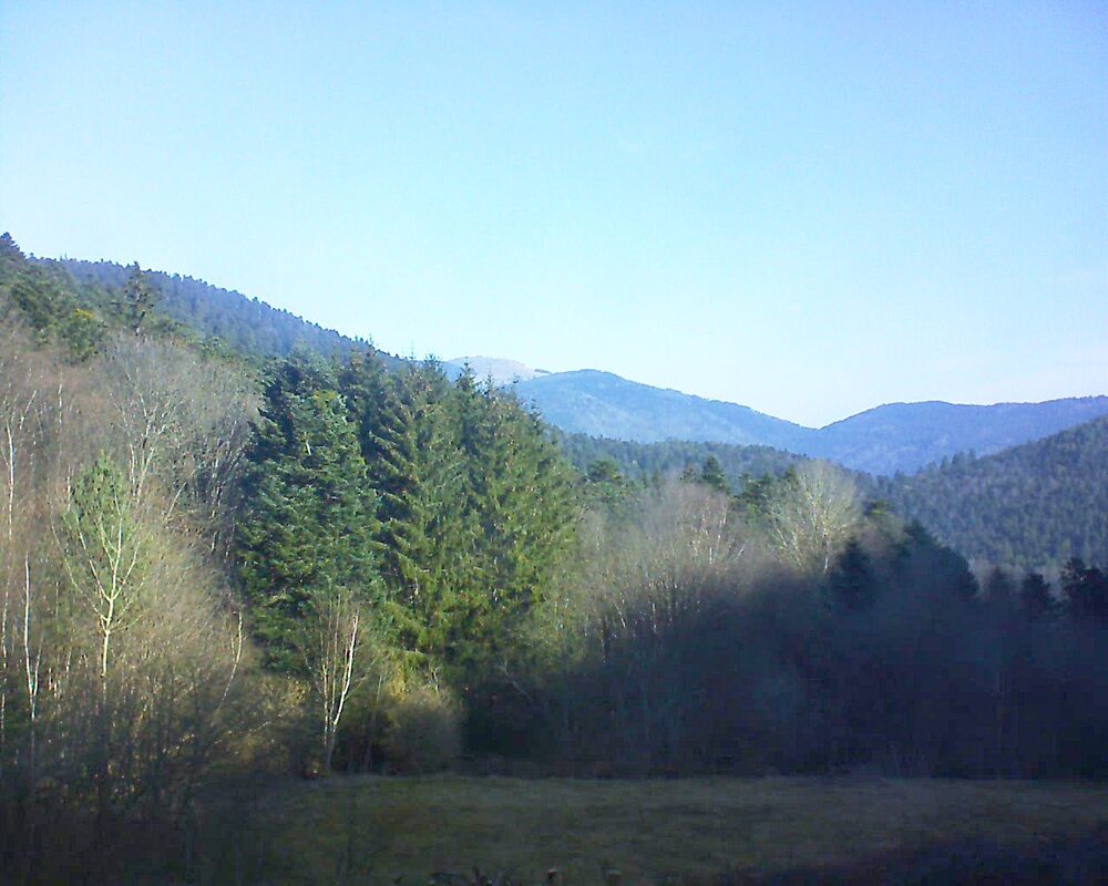 Le petit ballon (Alsace, Vosges) le 07.03.2025 à 09:45