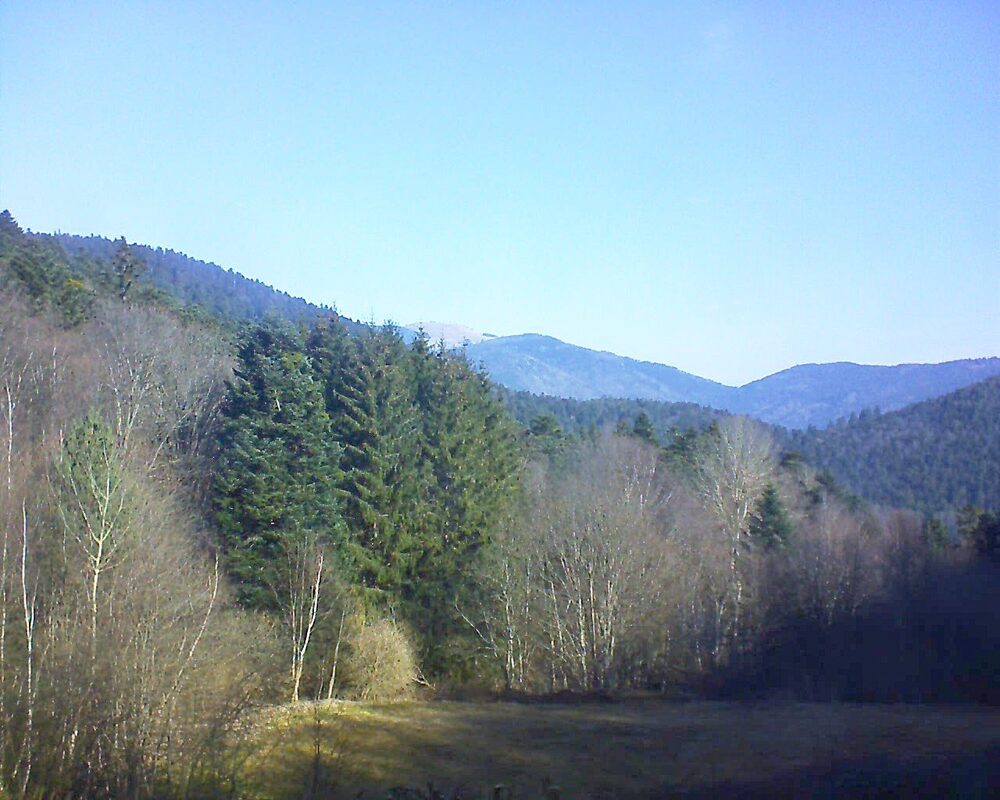 Le petit ballon vu depuis le Domaine Langmatt à Murbach le 07.03.2025 à 10:00 Le petit ballon (Alsace, Vosges) le 07.03.2025 à 10:00