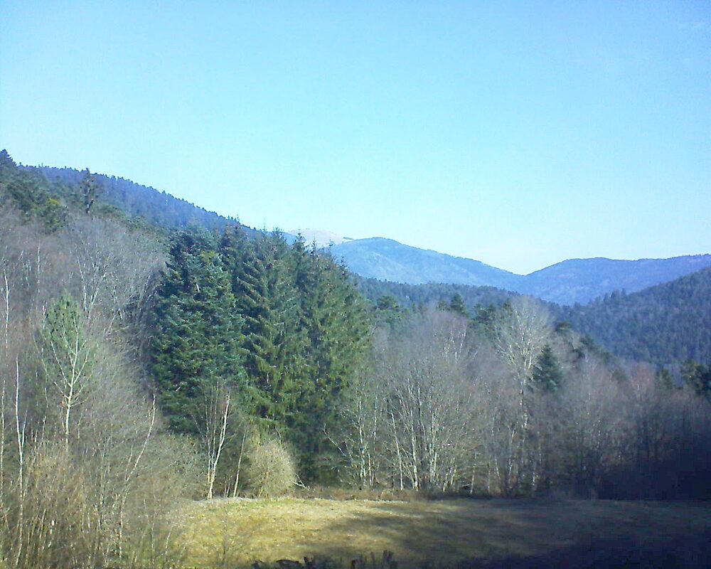 Le petit ballon vu depuis le Domaine Langmatt à Murbach le 07.03.2025 à 10:15 Le petit ballon (Alsace, Vosges) le 07.03.2025 à 10:15