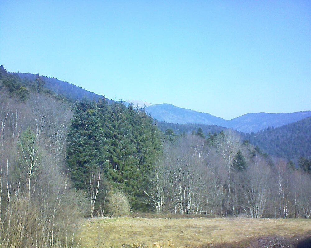Le petit ballon (Alsace, Vosges) le 08.03.2025 à 11:30