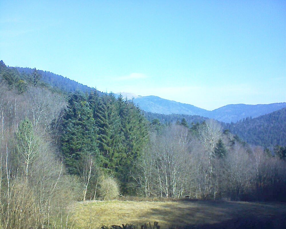 Le petit ballon vu depuis le Domaine Langmatt à Murbach le 09.03.2025 à 10:15 Le petit ballon (Alsace, Vosges) le 09.03.2025 à 10:15