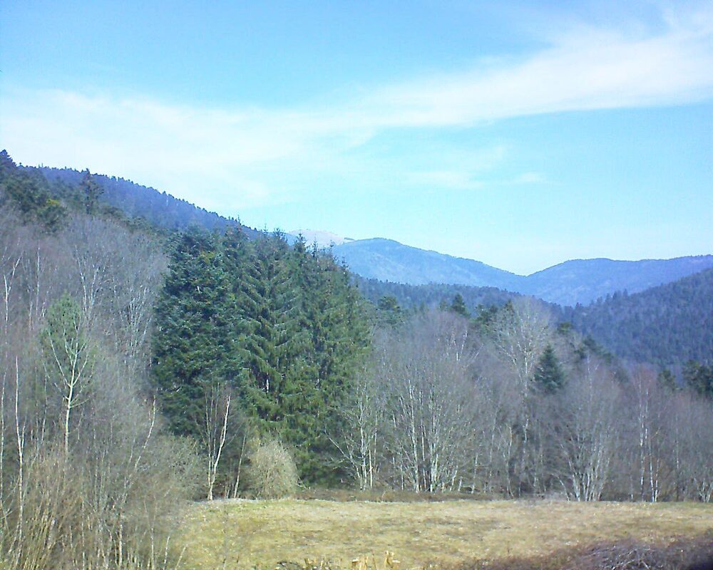 Le petit ballon vu depuis le Domaine Langmatt à Murbach le 09.03.2025 à 11:30 Le petit ballon (Alsace, Vosges) le 09.03.2025 à 11:30