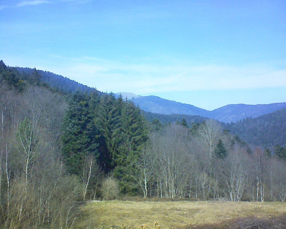 Le petit ballon vu depuis le Domaine Langmatt à Murbach le 09.03.2025 à 13:15 Le petit ballon (Alsace, Vosges) le 09.03.2025 à 13:15