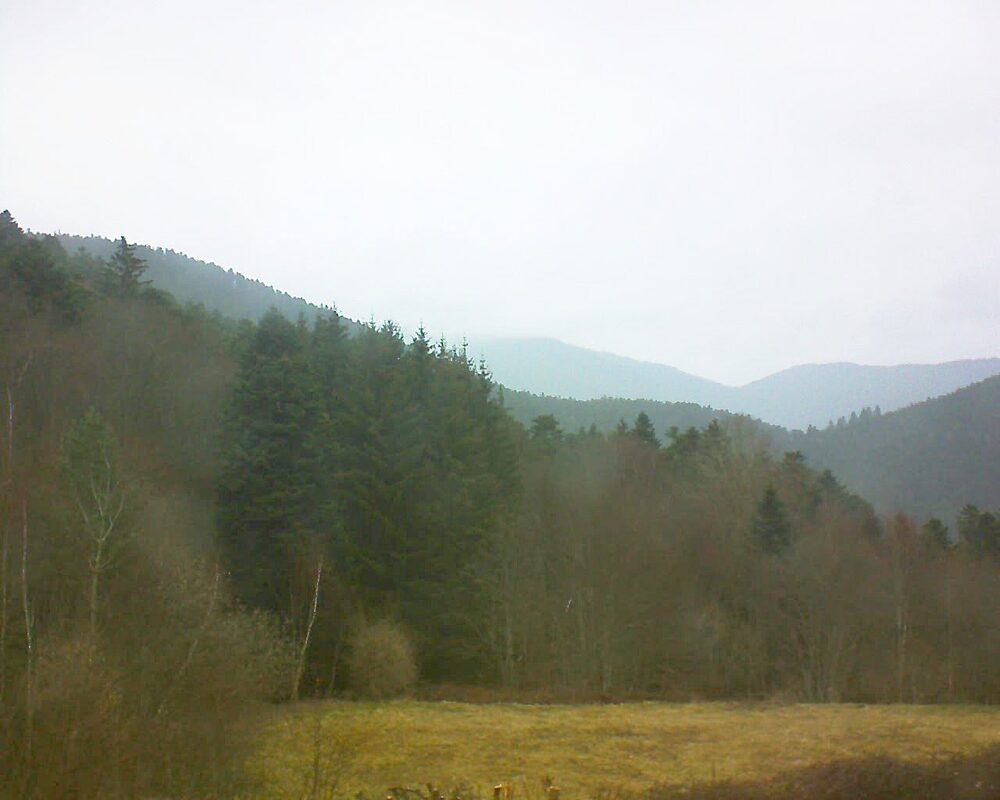 Le petit ballon vu depuis le Domaine Langmatt à Murbach le 10.03.2025 à 09:30 Le petit ballon (Alsace, Vosges) le 10.03.2025 à 09:30