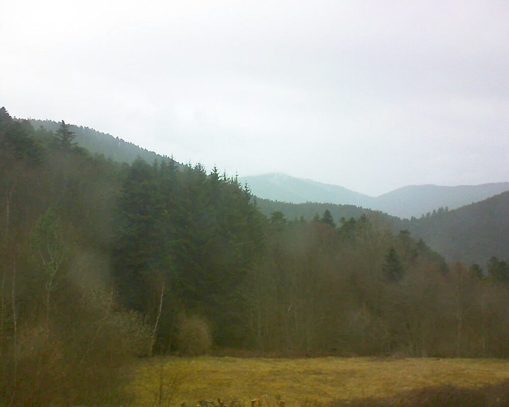 Le petit ballon vu depuis le Domaine Langmatt à Murbach le 10.03.2025 à 10:00 Le petit ballon (Alsace, Vosges) le 10.03.2025 à 10:00