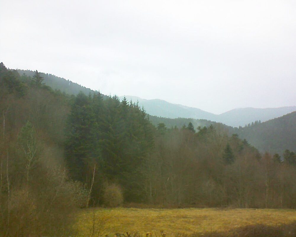 Le petit ballon vu depuis le Domaine Langmatt à Murbach le 10.03.2025 à 10:15 Le petit ballon (Alsace, Vosges) le 10.03.2025 à 10:15