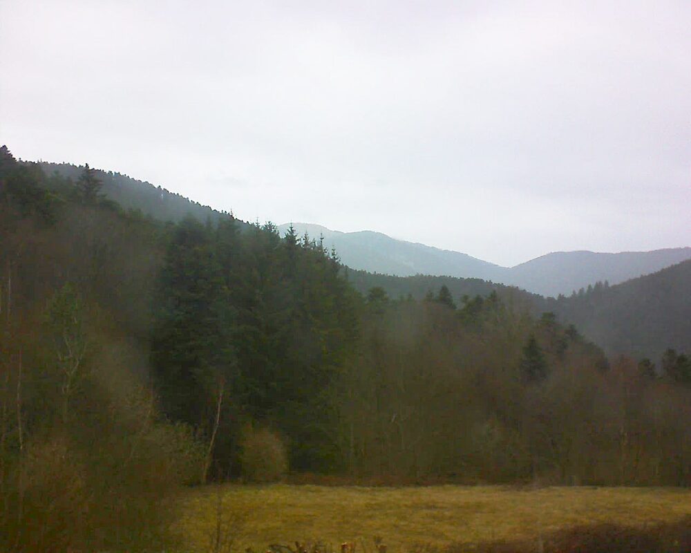 Le petit ballon vu depuis le Domaine Langmatt à Murbach le 10.03.2025 à 10:30 Le petit ballon (Alsace, Vosges) le 10.03.2025 à 10:30