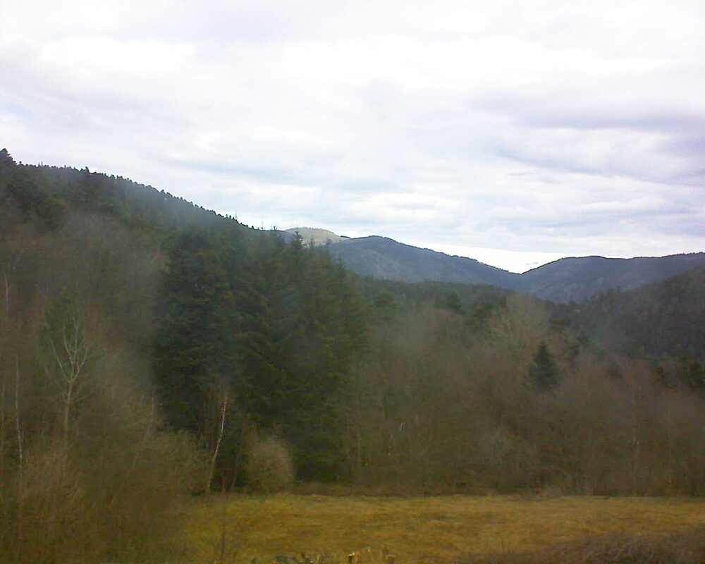 Le petit ballon vu depuis le Domaine Langmatt à Murbach le 11.03.2025 à 08:30 Le petit ballon (Alsace, Vosges) le 11.03.2025 à 08:30
