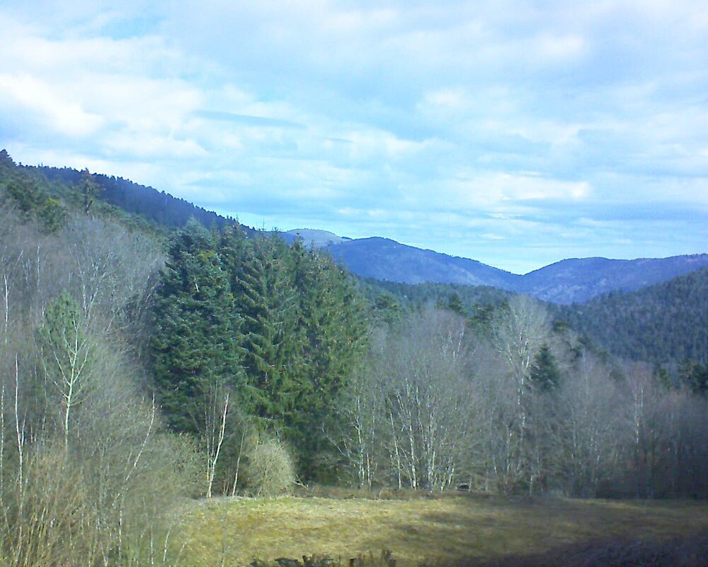 Le petit ballon vu depuis le Domaine Langmatt à Murbach le 11.03.2025 à 10:15 Le petit ballon (Alsace, Vosges) le 11.03.2025 à 10:15