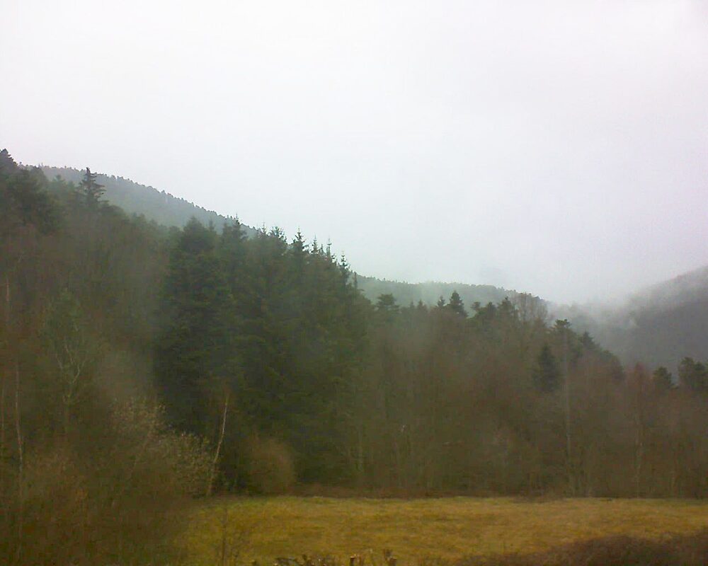 Le petit ballon vu depuis le Domaine Langmatt à Murbach le 12.03.2025 à 09:30 Le petit ballon (Alsace, Vosges) le 12.03.2025 à 09:30