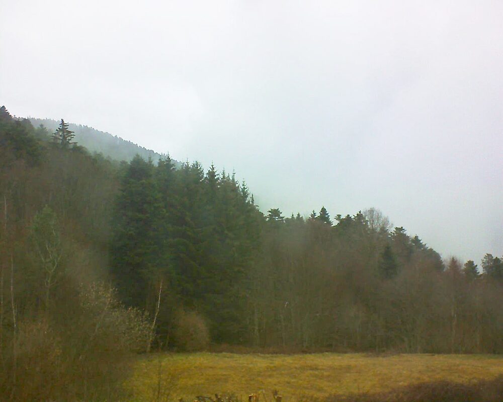 Le petit ballon vu depuis le Domaine Langmatt à Murbach le 12.03.2025 à 10:15 Le petit ballon (Alsace, Vosges) le 12.03.2025 à 10:15
