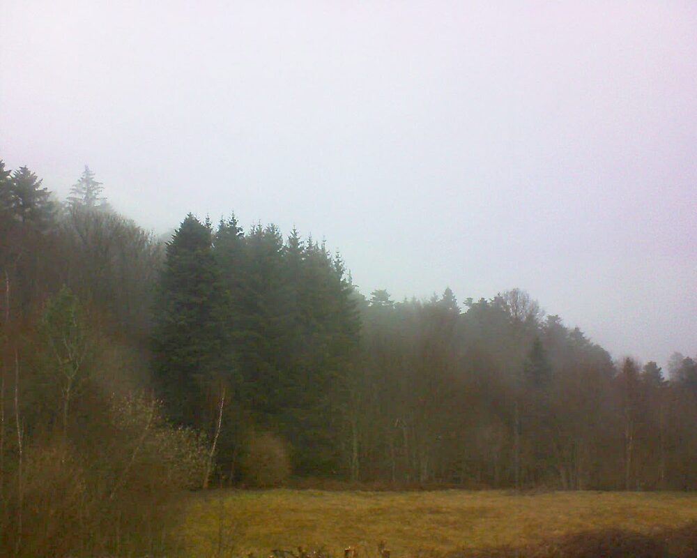 Le petit ballon vu depuis le Domaine Langmatt à Murbach le 12.03.2025 à 10:30 Le petit ballon (Alsace, Vosges) le 12.03.2025 à 10:30