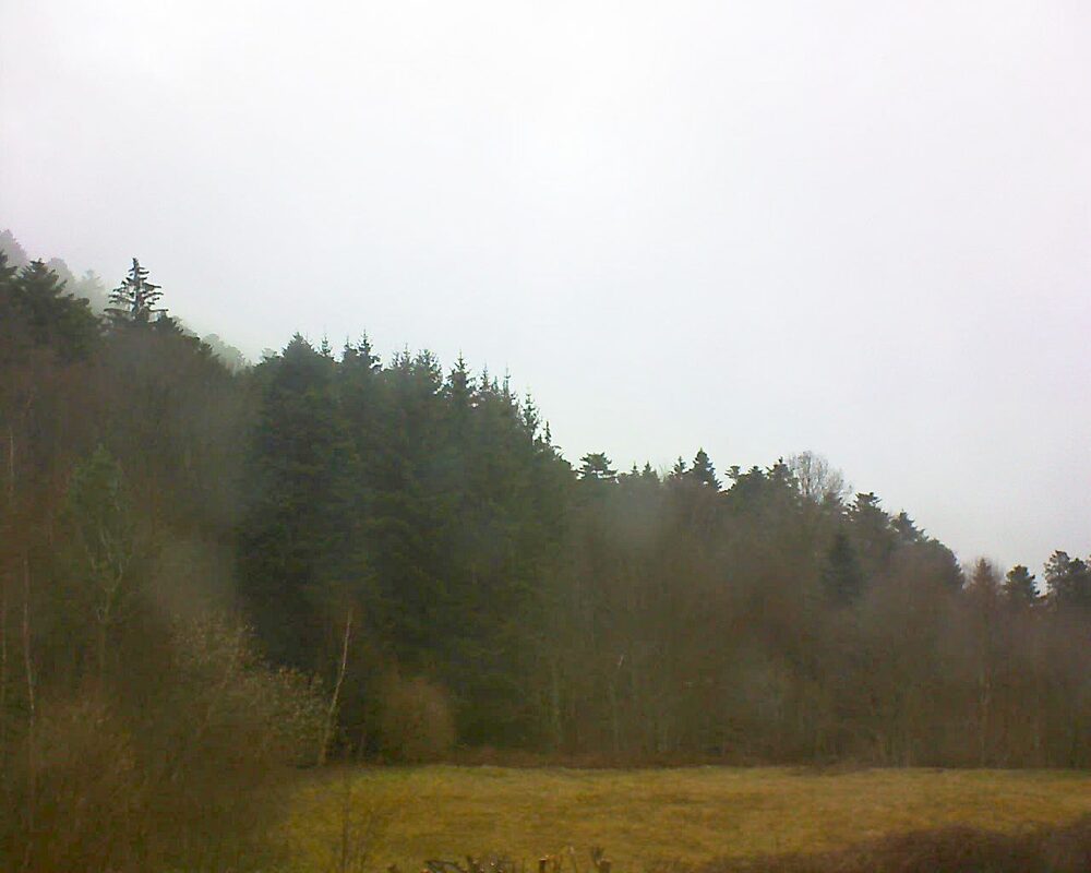 Le petit ballon vu depuis le Domaine Langmatt à Murbach le 12.03.2025 à 11:30 Le petit ballon (Alsace, Vosges) le 12.03.2025 à 11:30