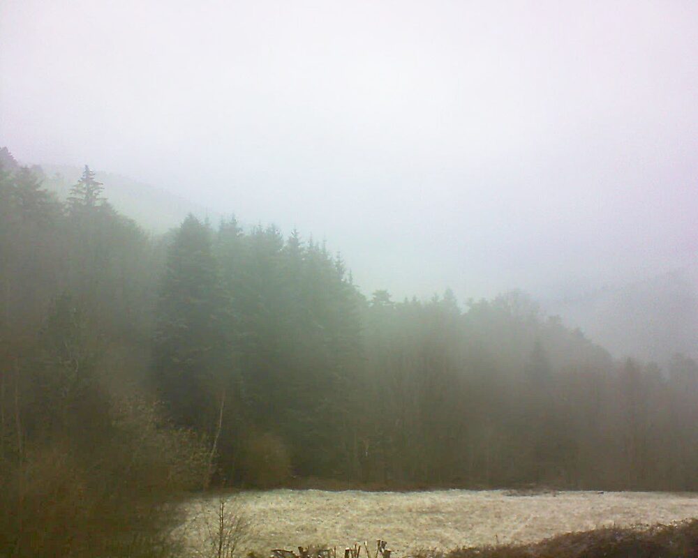 Le petit ballon vu depuis le Domaine Langmatt à Murbach le 13.03.2025 à 09:00 Le petit ballon (Alsace, Vosges) le 13.03.2025 à 09:00