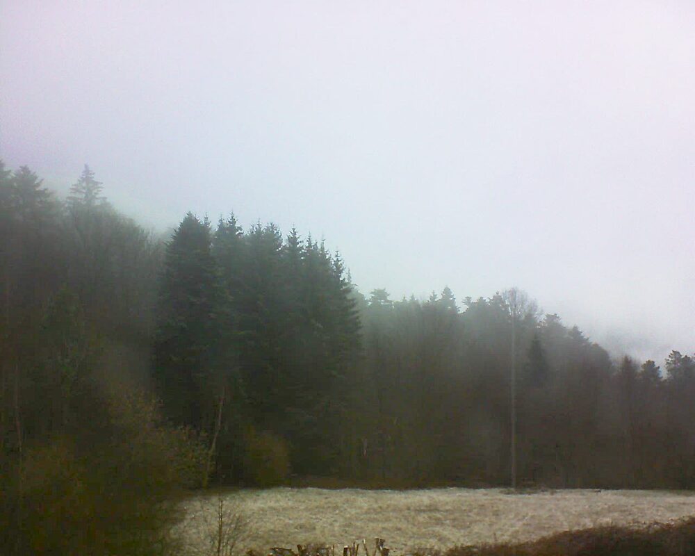 Le petit ballon vu depuis le Domaine Langmatt à Murbach le 13.03.2025 à 09:15 Le petit ballon (Alsace, Vosges) le 13.03.2025 à 09:15