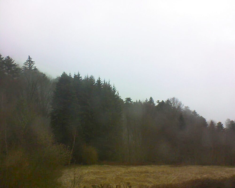 Le petit ballon vu depuis le Domaine Langmatt à Murbach le 13.03.2025 à 10:15 Le petit ballon (Alsace, Vosges) le 13.03.2025 à 10:15