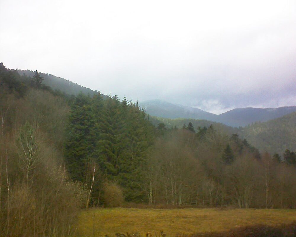 Le petit ballon vu depuis le Domaine Langmatt à Murbach le 13.03.2025 à 12:30 Le petit ballon (Alsace, Vosges) le 13.03.2025 à 12:30