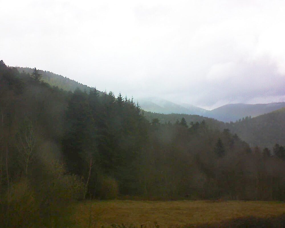 Le petit ballon (Alsace, Vosges) le 13.03.2025 à 12:45