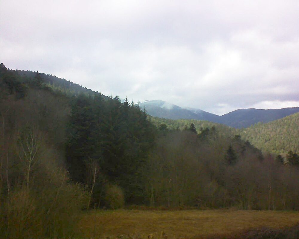 Le petit ballon (Alsace, Vosges) le 13.03.2025 à 14:45