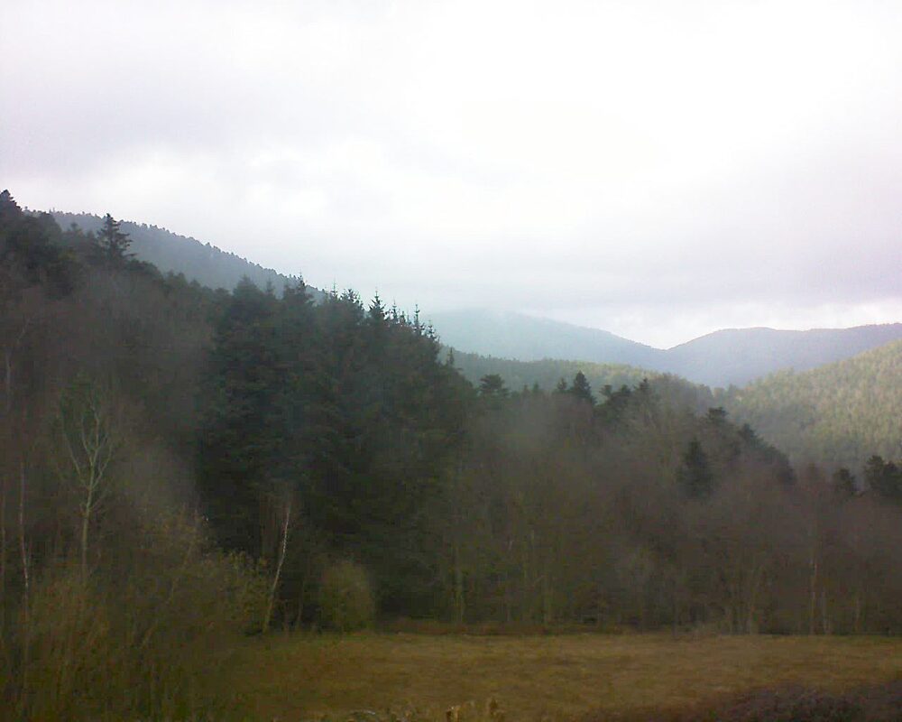 Le petit ballon (Alsace, Vosges) le 13.03.2025 à 15:30