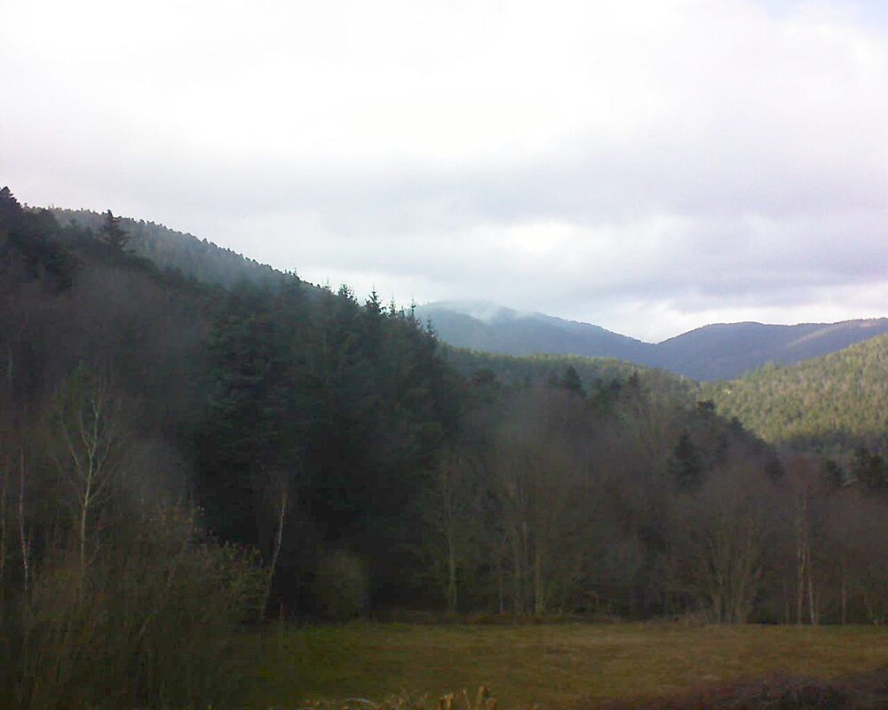 Le petit ballon vu depuis le Domaine Langmatt à Murbach le 13.03.2025 à 15:45 Le petit ballon (Alsace, Vosges) le 13.03.2025 à 15:45
