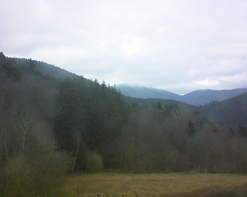Le petit ballon (Alsace, Vosges) le 13.03.2025 à 17:45
