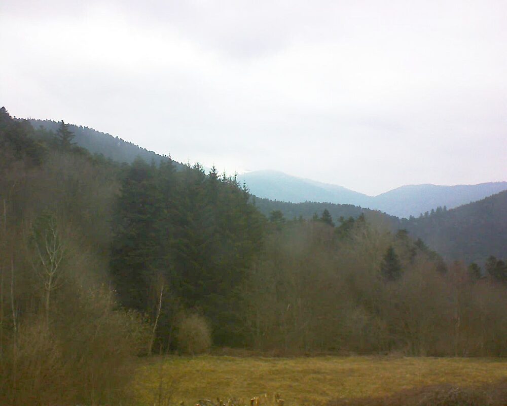 Le petit ballon vu depuis le Domaine Langmatt à Murbach le 14.03.2025 à 09:15 Le petit ballon (Alsace, Vosges) le 14.03.2025 à 09:15