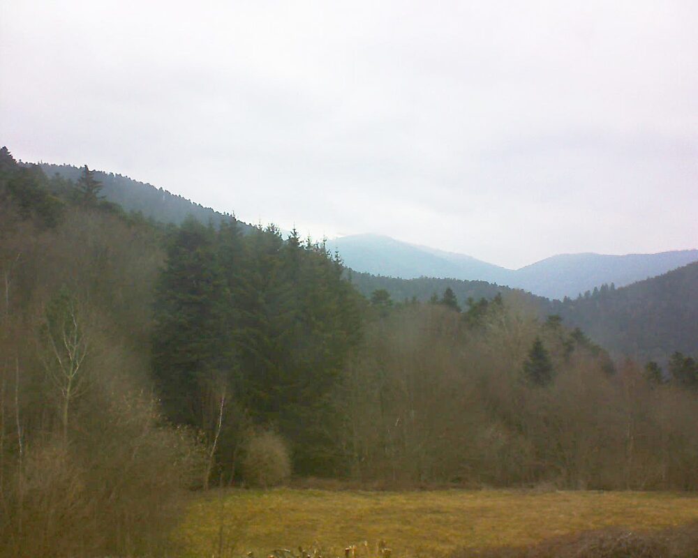 Le petit ballon vu depuis le Domaine Langmatt à Murbach le 14.03.2025 à 09:30 Le petit ballon (Alsace, Vosges) le 14.03.2025 à 09:30