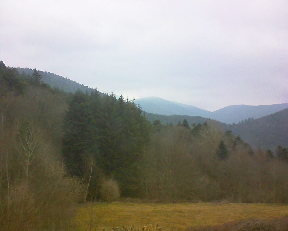 Le petit ballon vu depuis le Domaine Langmatt à Murbach le 14.03.2025 à 10:00 Le petit ballon (Alsace, Vosges) le 14.03.2025 à 10:00