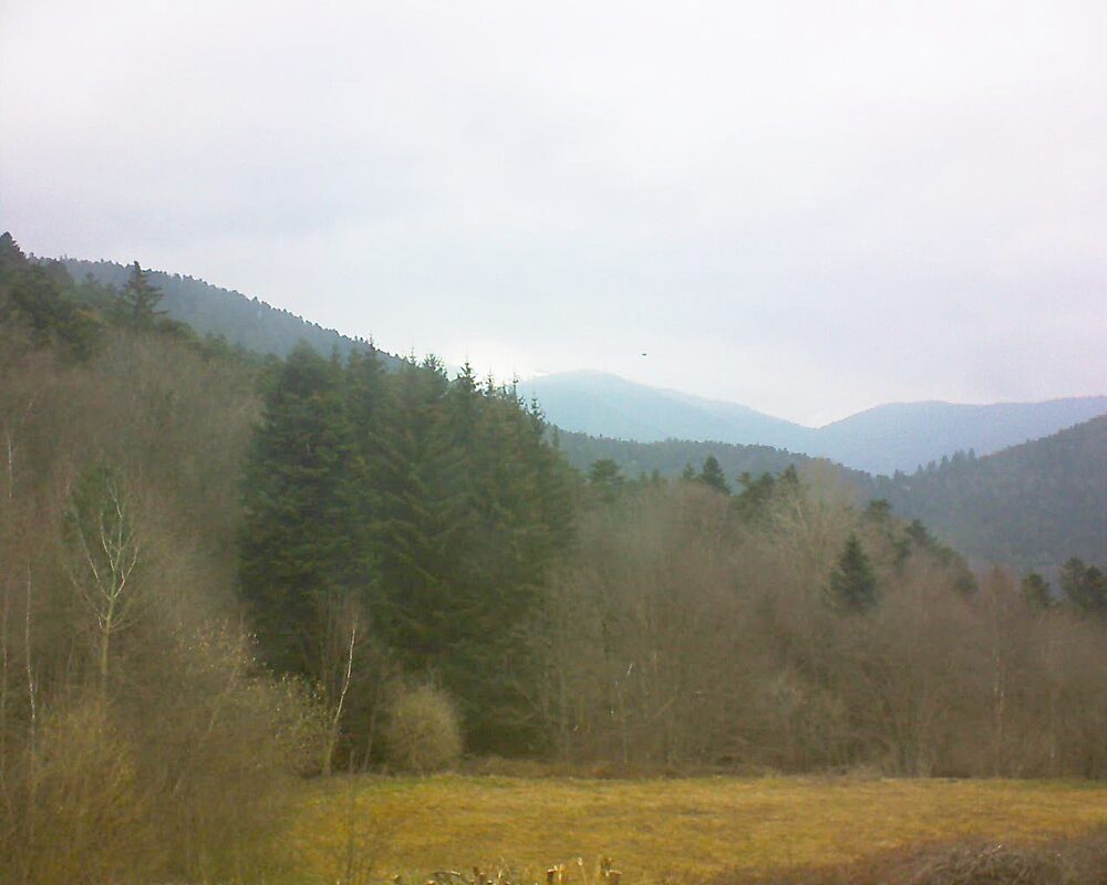 Le petit ballon vu depuis le Domaine Langmatt à Murbach le 14.03.2025 à 10:15 Le petit ballon (Alsace, Vosges) le 14.03.2025 à 10:15