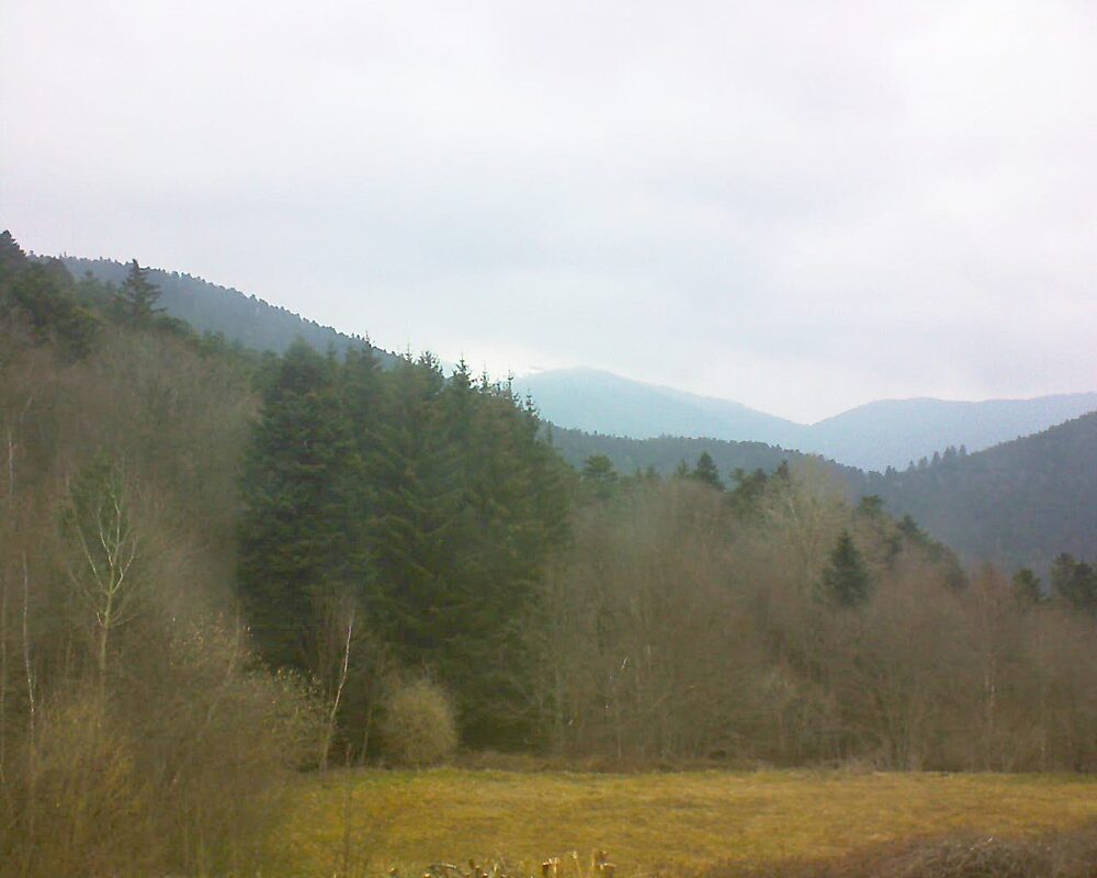 Le petit ballon vu depuis le Domaine Langmatt à Murbach le 14.03.2025 à 10:30 Le petit ballon (Alsace, Vosges) le 14.03.2025 à 10:30