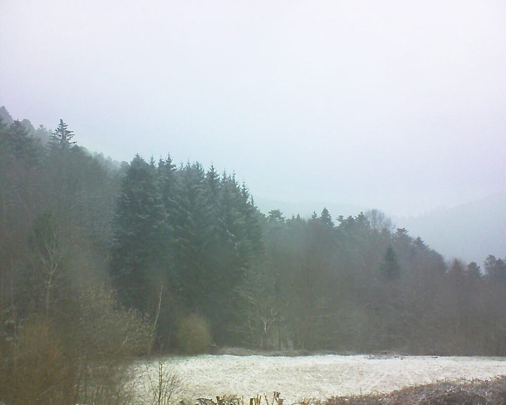 Le petit ballon vu depuis le Domaine Langmatt à Murbach le 15.03.2025 à 08:30 Le petit ballon (Alsace, Vosges) le 15.03.2025 à 08:30