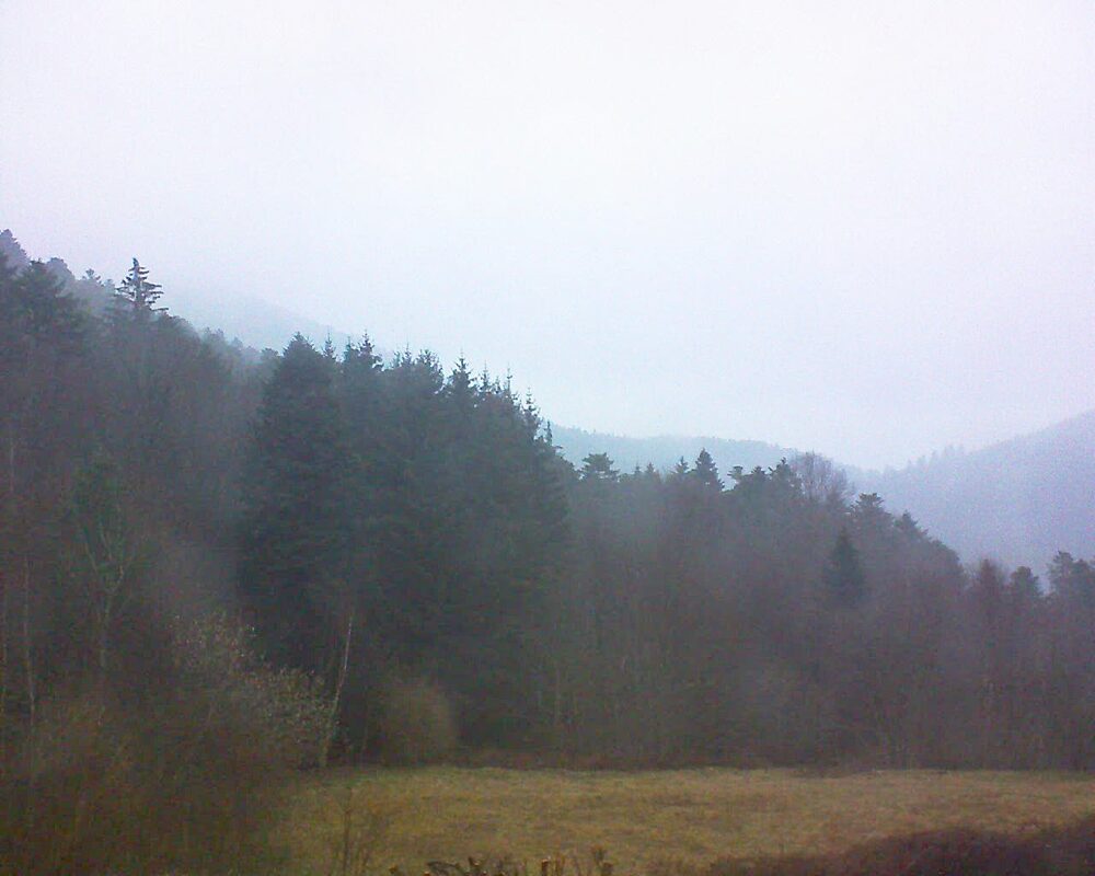 Le petit ballon (Alsace, Vosges) le 16.03.2025 à 07:30