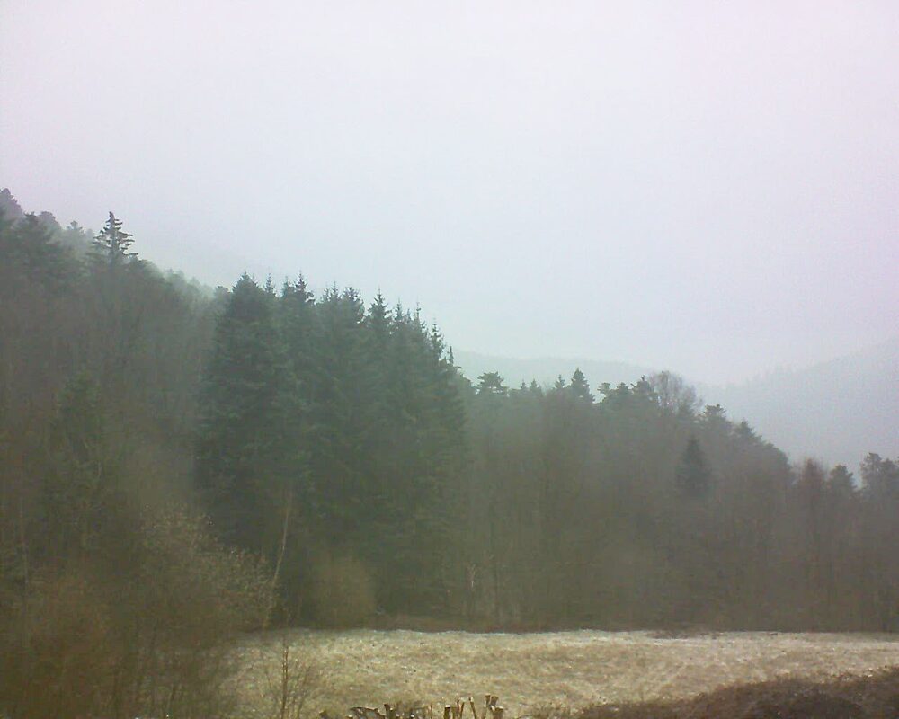 Le petit ballon vu depuis le Domaine Langmatt à Murbach le 16.03.2025 à 08:30 Le petit ballon (Alsace, Vosges) le 16.03.2025 à 08:30