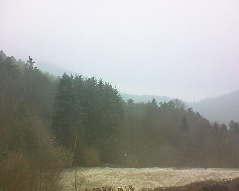 Le petit ballon vu depuis le Domaine Langmatt à Murbach le 16.03.2025 à 08:45 Le petit ballon (Alsace, Vosges) le 16.03.2025 à 08:45